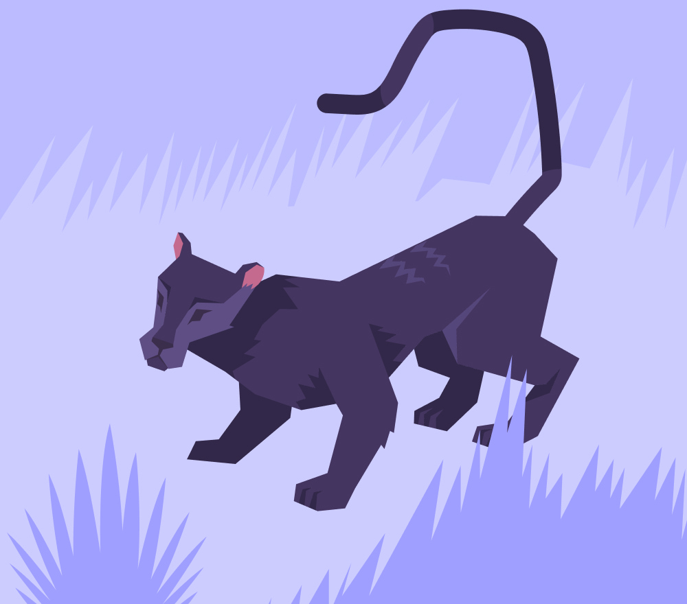 Unlocking the Mysteries: Discovering Your Spirit Animal